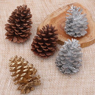 Set 9 quả thông khô Phụ kiện trang trí noel mẫu A28