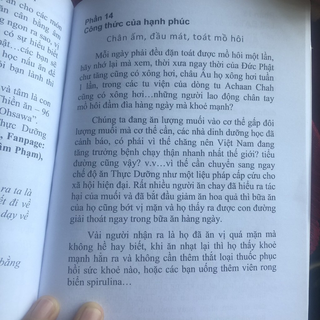 Hạt kê nếp nấu sữa, cháo, cơm. hạt kê vàng đã tách vỏ, đậu đen xanh lòng, đậu xanh, đậu nho nhe
