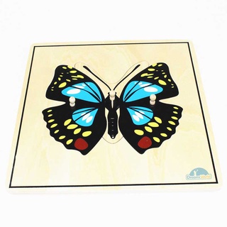 Tranh ghép sinh học hình bướm montessori - plates butterfly montessori