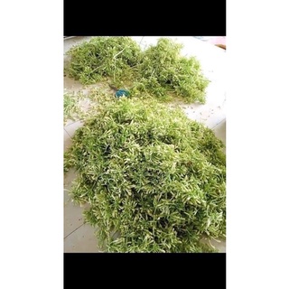 1Kg Nụ đu đủ đực khô thơm, mới(xanh thơm giòn,sấy lạnh)