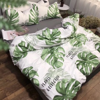 Set đũi cao cấp 4 món
