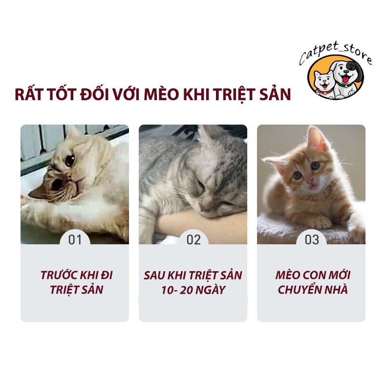 Bột an thần cho mèo,phù hợp cho thú cưng vừa triệt sản, động dụng , cáu bẩn