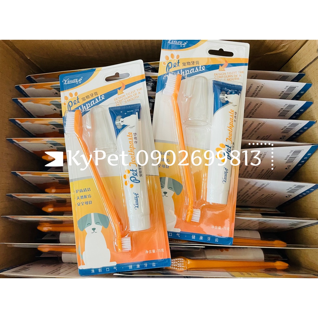 Bộ bàn chải đánh răng kèm kem đánh răng cho chó mèo (mẫu mới)