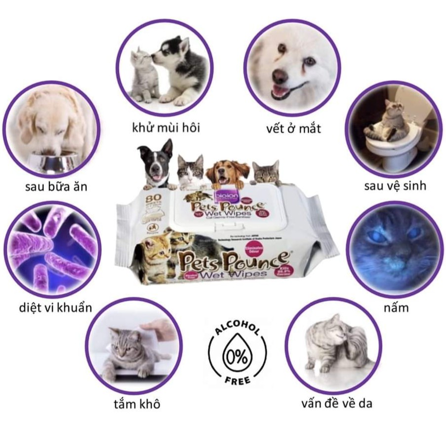 Khăn giấy ướt tắm khô Bioion sạch khuẩn không bết rít cho Thỏ, Bọ, Chó, Mèo, Bắc Mỹ, Hamster...