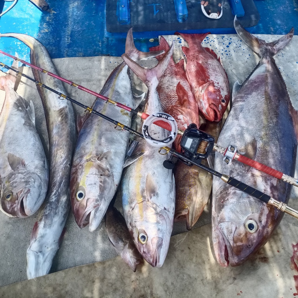 Dây câu cá Nylon Tyoz, dùng làm leader, thẻo câu ngâm cá biển lớn.