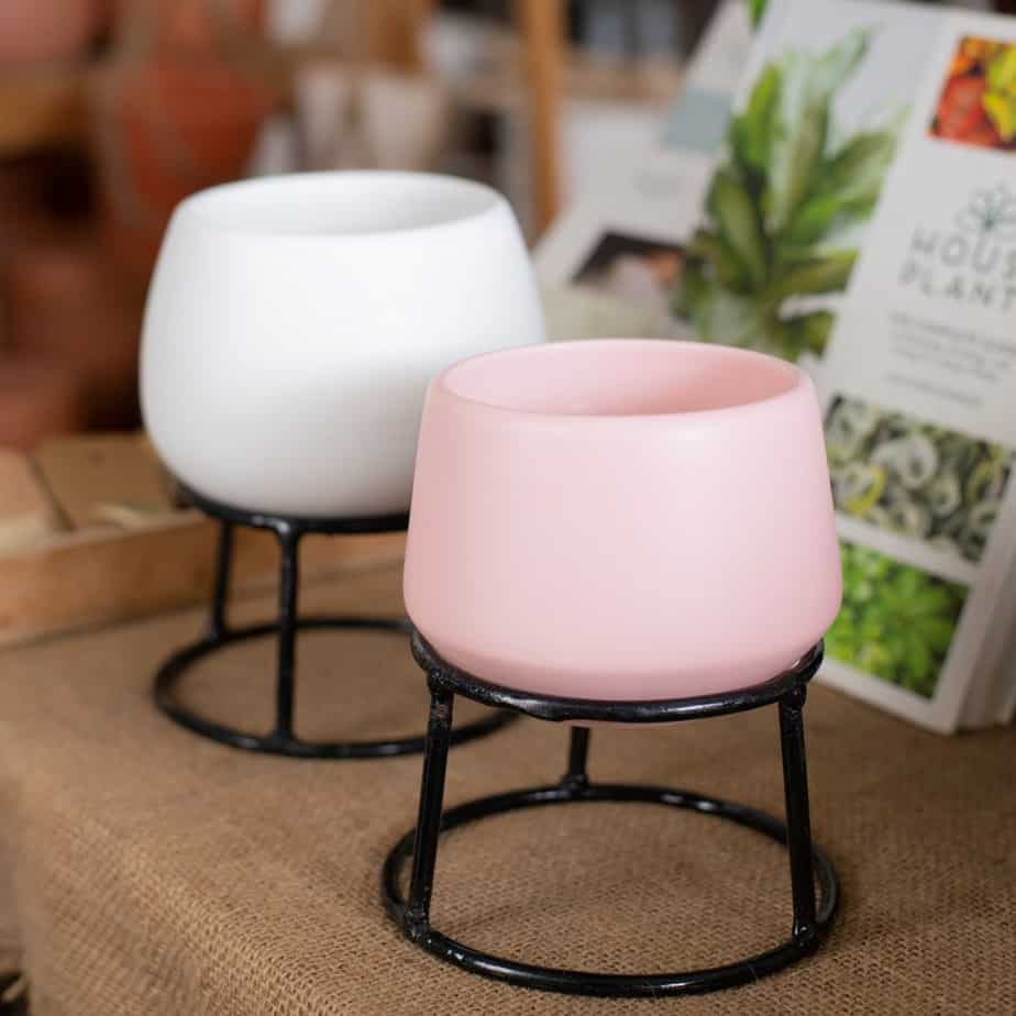 Chậu Kim Cương 10x12cm Trồng Cây Để Bàn, Cây Phong Thủy