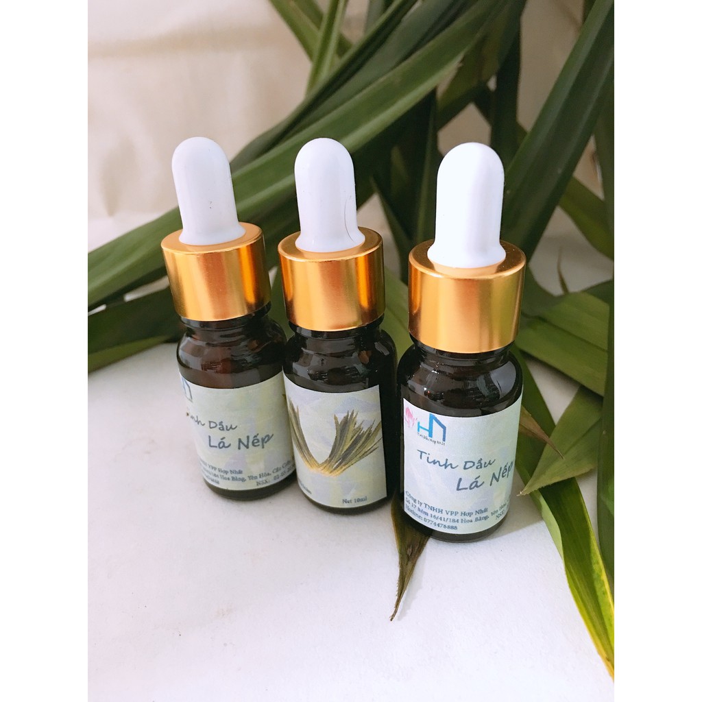 Combo 03 Lọ Tinh dầu Lá Nếp 10ml