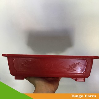 Chậu Bonsai chữ nhật 30