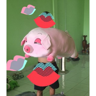 Heo mắt híp 90 cm