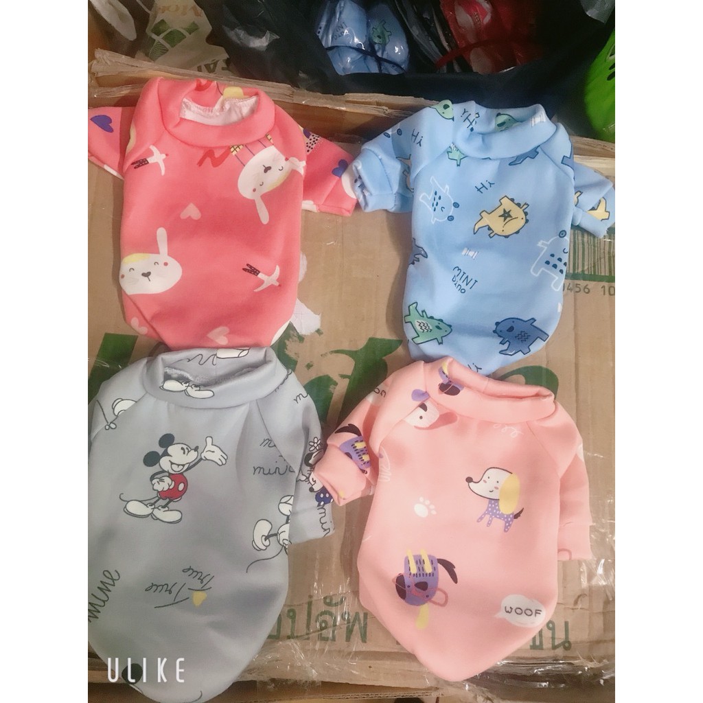 Áo nỉ 2 chân xịn,mịn,đẹp hình xinh xắn cho chó mèo (kèm ảnh thật)
