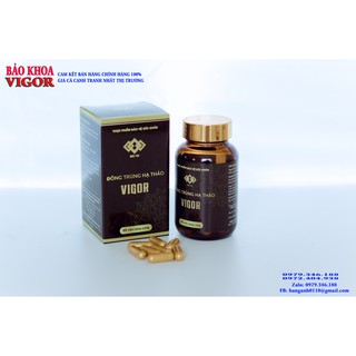Đông trùng Hạ thảo viên nang Plus