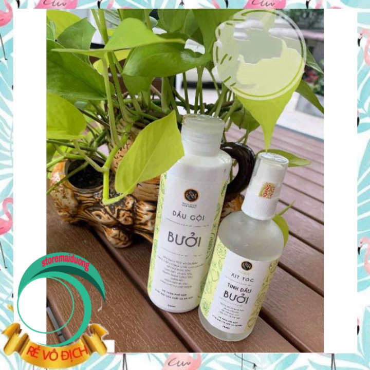 Dầu gội bưởi Nga Hoàng chai lớn 350ml (HÀNG CHÍNH HÃNG) | BigBuy360 - bigbuy360.vn