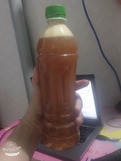 Mật ong ruồi đắc lắc(1lit)