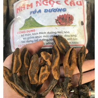 NẤM NGỌC CẨU KHÔ 1KG( THẦN DƯỢC CHO PHÁI MẠNH)