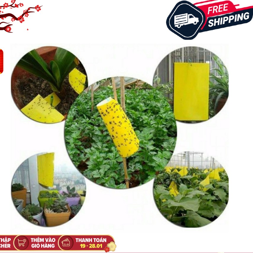 [Tặng kèm dây treo] Miếng bẫy dính ruồi vàng, dính côn trùng 2 mặt siêu dính 20x25cm