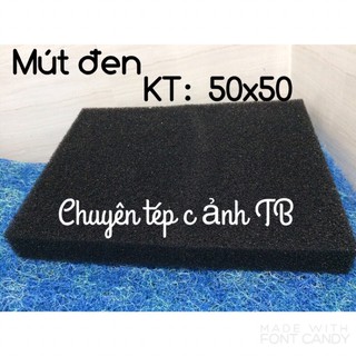 Mút đen lọc nước hồ cá kt: 50x50x5cm