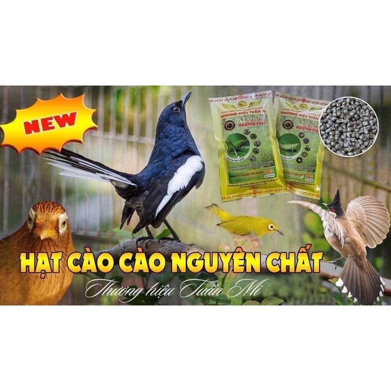 HẠT CÔN TRÙNG DÀNH CHO MI- MÀO- CHOÈ- KHƯỚU