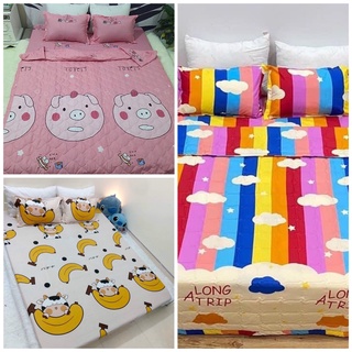 Sét chăn ga 5 món cotton poly