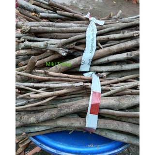 Củi khô trang trí