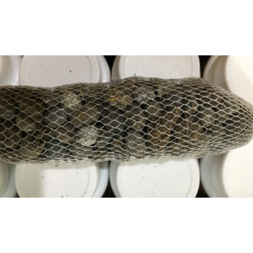 Túi đựng phân tan chậm 100gr