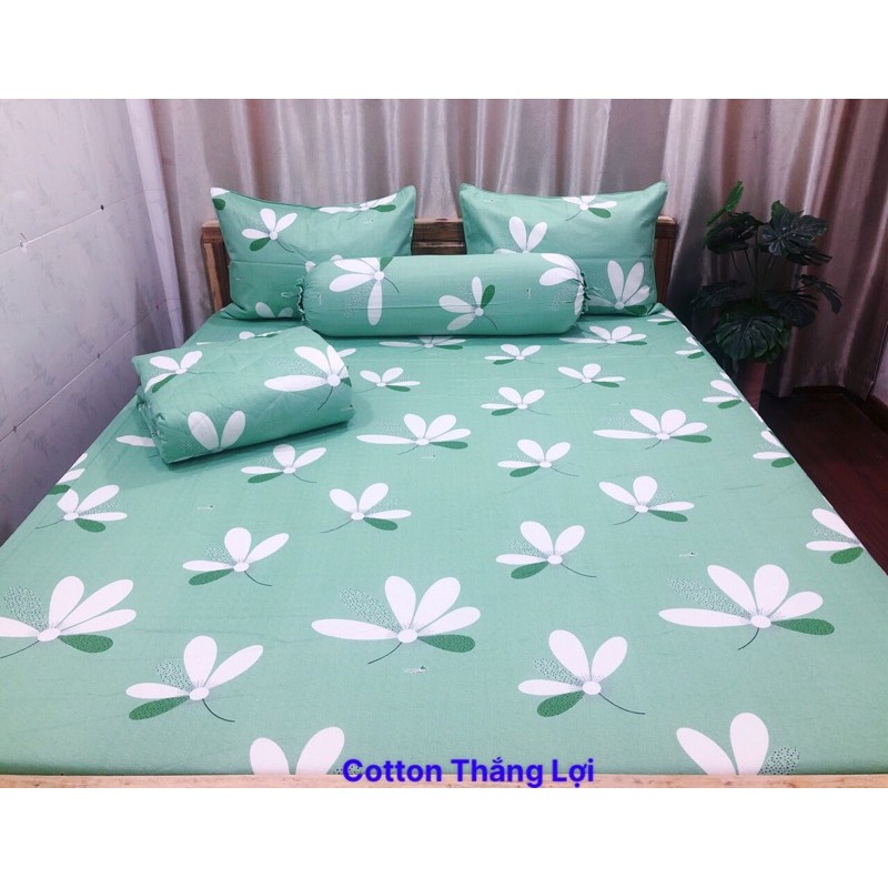 DRAP COTTON THẮNG LỢI MỚI - SỈ LẺ TQ