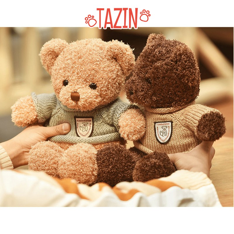 Gấu bông teddy head tales, teddy head tales bông len mini cao cấp Tazin