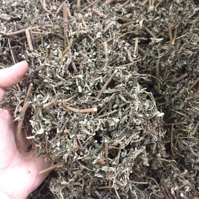 1kg ngải cứu khô