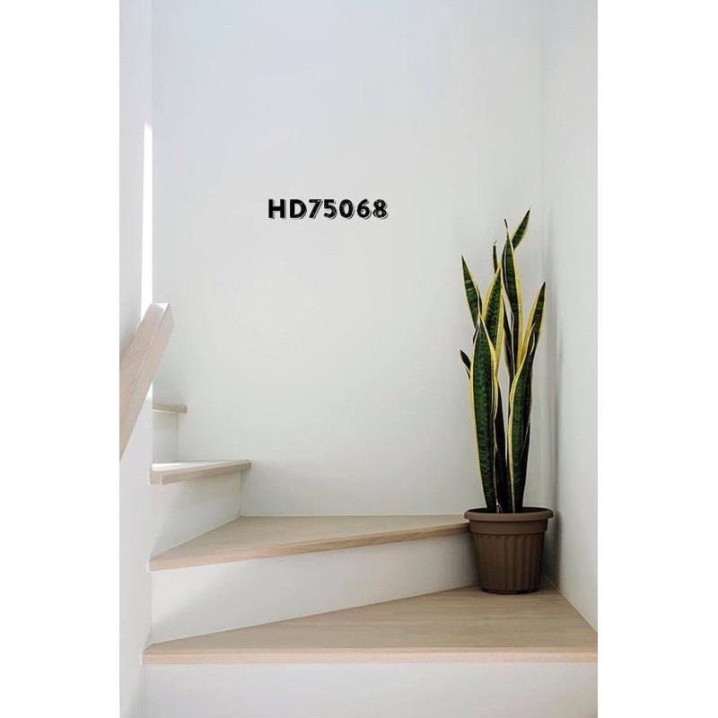 BACKGROUND CHỤP HÌNH LIVESTREAM SIZE 1,7*2,5m