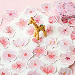 Hộp 45 sticker hoa anh đào Sakura 🌸