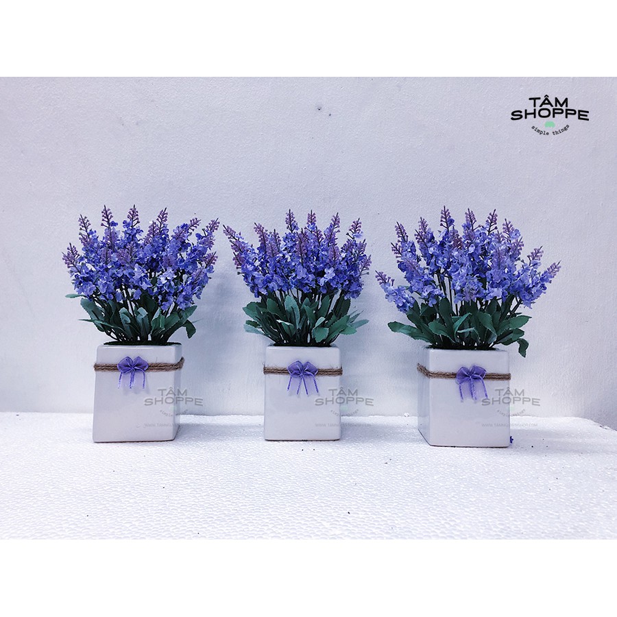 Chậu hoa Lavender gốm vuông No.53