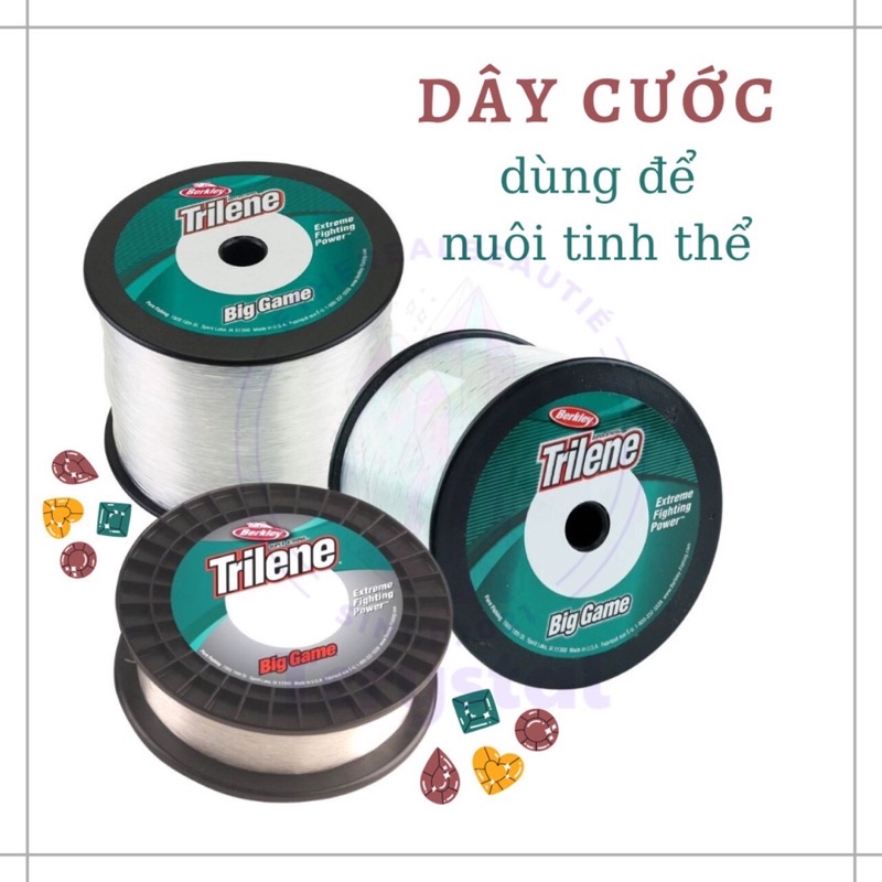 1 mét - Dây cước dùng để nuôi tinh thể