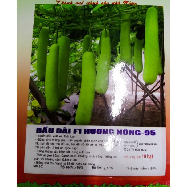 Hạt bầu trái dài F1 - gói 10 hạt