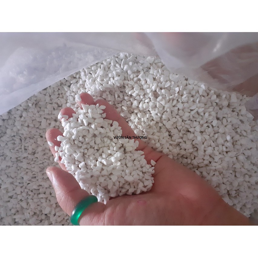 Đá Perlite-  Trân Châu Giá Thể Cao Cấp Trồng Hồng, Dâu Tây, Sen Đá, Xương Rồng