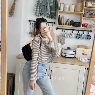 Crt giấy kẻ ngang 038