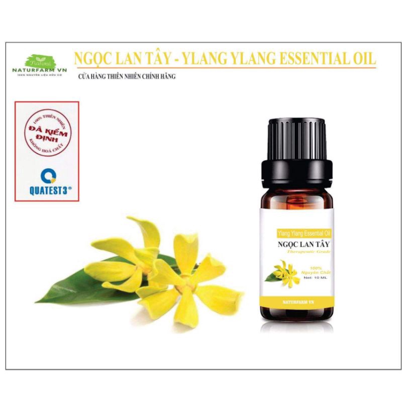 Tinh dầu ngọc lan tây - Ylang Ylang Oil 10ML