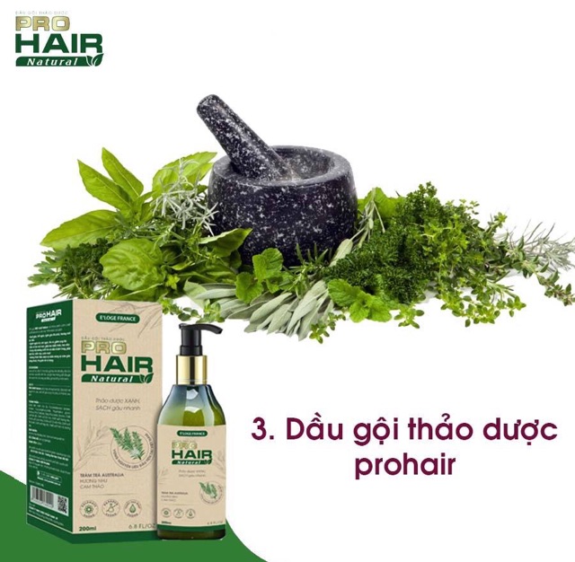 Dầu gội đầu thảo dược PROHAIR