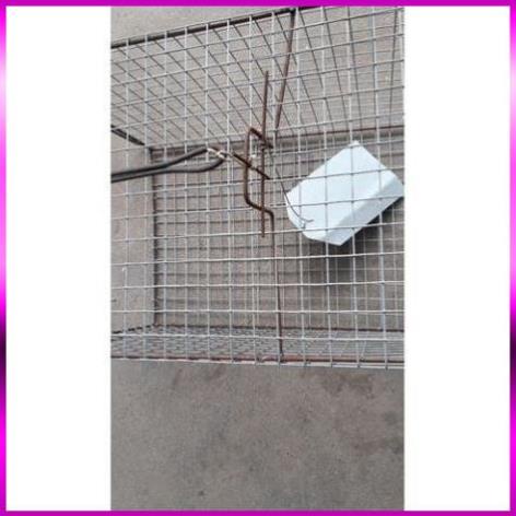 ⭐  Lồng bẫy đa năng, bẫy chồn, mèo hoang, sóc, chuột