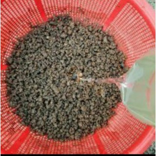 Xỉ than dùng để trộn dất trồng cây
