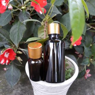 Combo tinh dầu tràm 50ml & 10ml