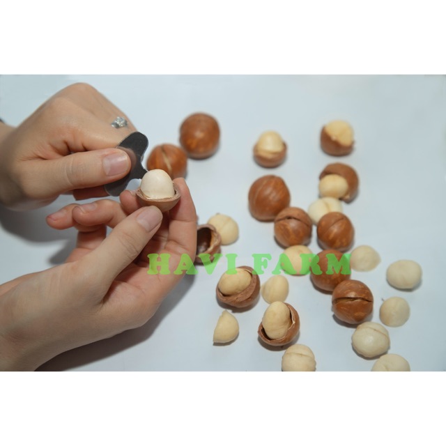 Xưởng macca Havi Farm