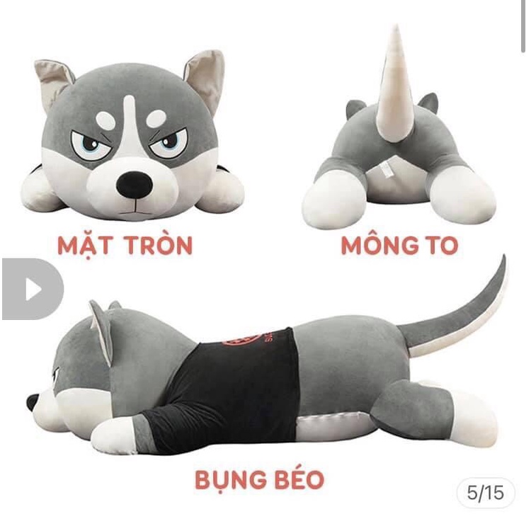 Gấu bông Chó Husky Siêu To Khổng Lồ 1m5 - Gối Ôm Chó Ngáo Size1m5, Ú Store