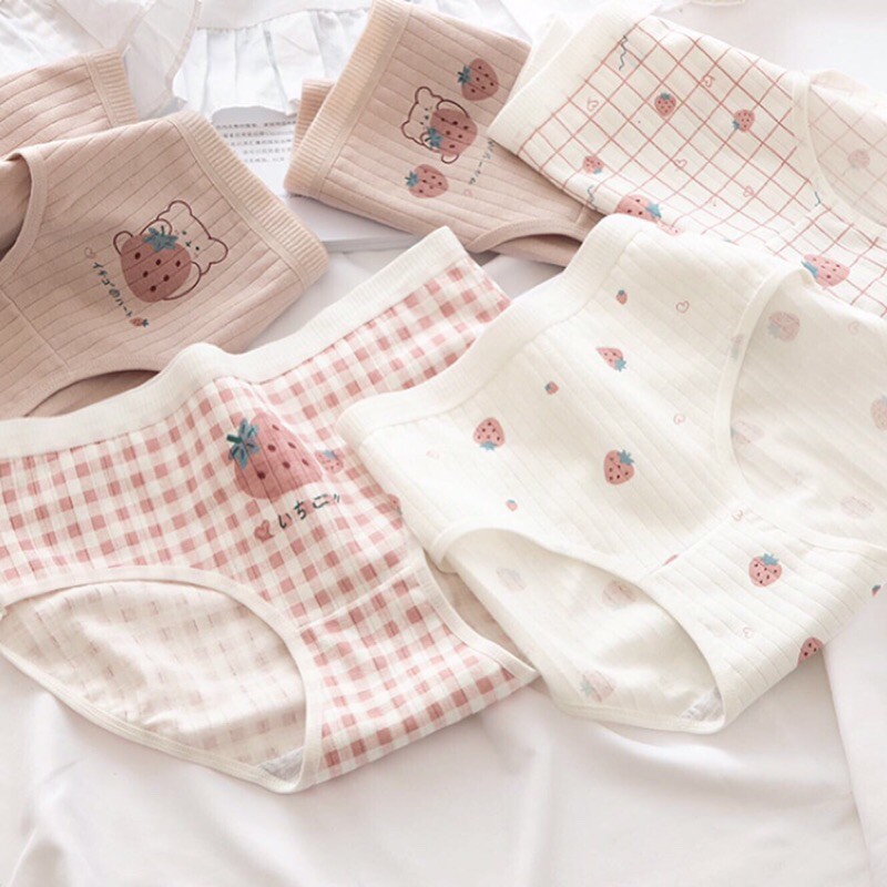 [ DÂU TÂY ] Set 5 Quần Chip Cute - Cotton Co Dãn Thoải Mái - Đủ Size - Có Thể Làm Quà Tặng - Kèm Túi Zip - 5 Quần Xinh !