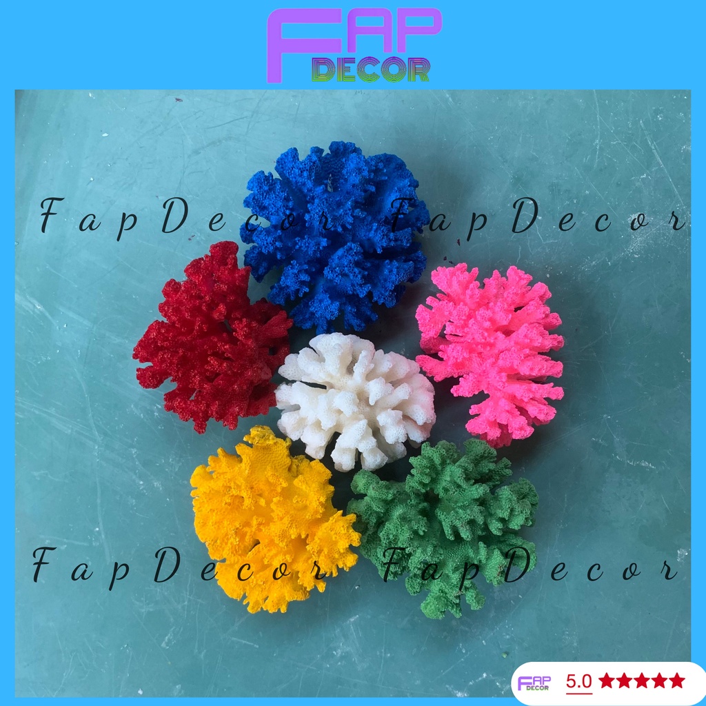 SAN HÔ BÔNG RẠN BIỂN PHONG THỦY MINI PHỐI MÀU SIÊU ĐẸP TRANG TRÍ THỦY SINH BỂ CÁ DECOR BÀN LÀM VIỆC - FAPDECOR