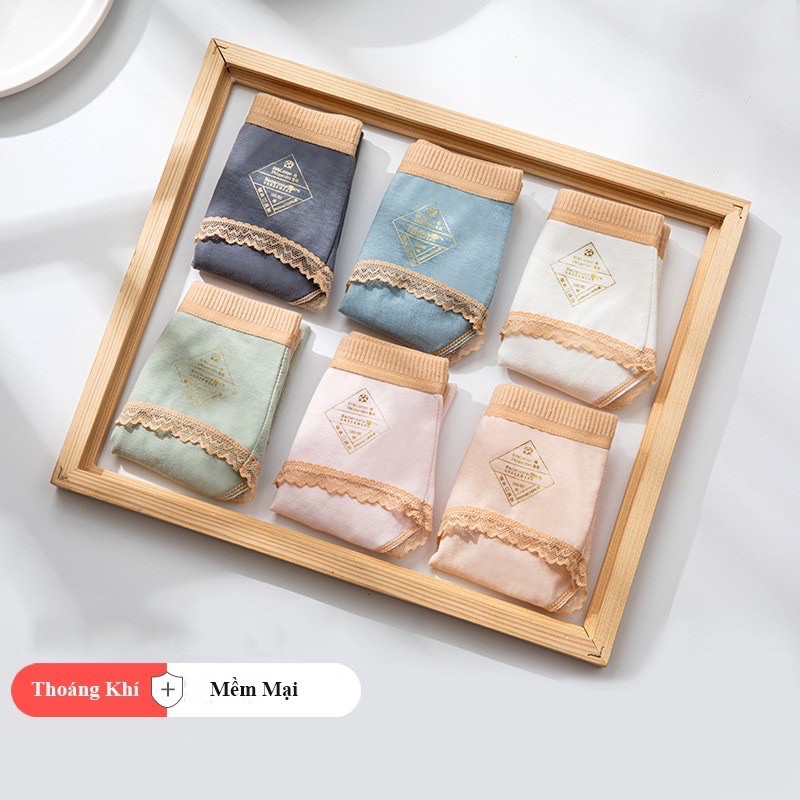 Quần Lót Nữ Chất Liệu Cotton Royal Kháng Khuẩn Chống Viêm Nhiễm CT-04 | BigBuy360 - bigbuy360.vn