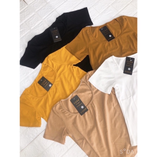 Áo thun cổ U chất zip cotton điệu đà