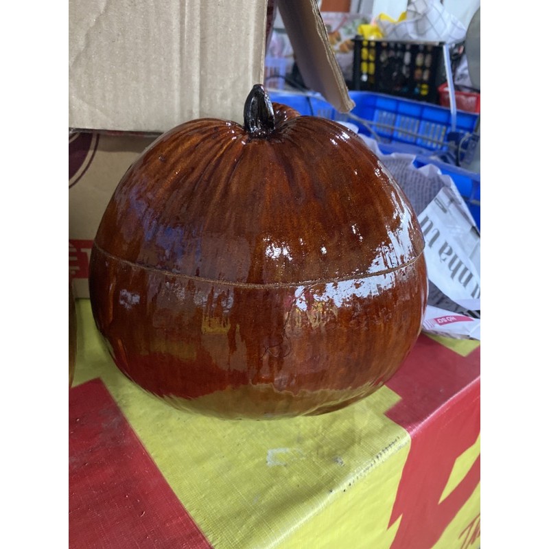 Vỏ giữ ấm bình trà trái dừa +Tặng ấm tích trà nhiều Size | BigBuy360 - bigbuy360.vn