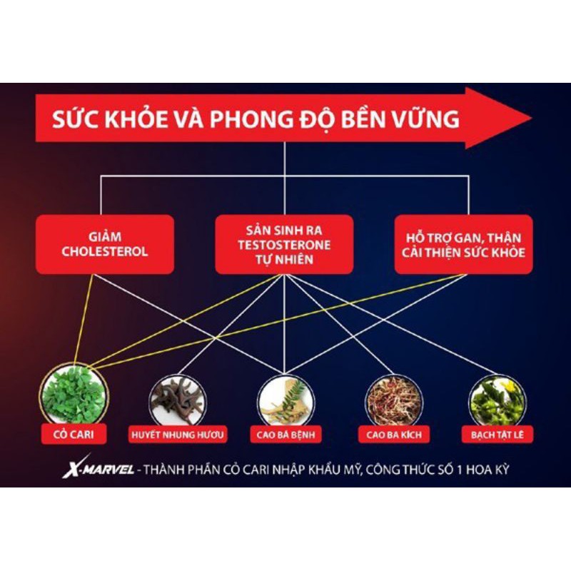 X-MARVEL MAX Hộp 12 Viên Cam Kết Chính hãng