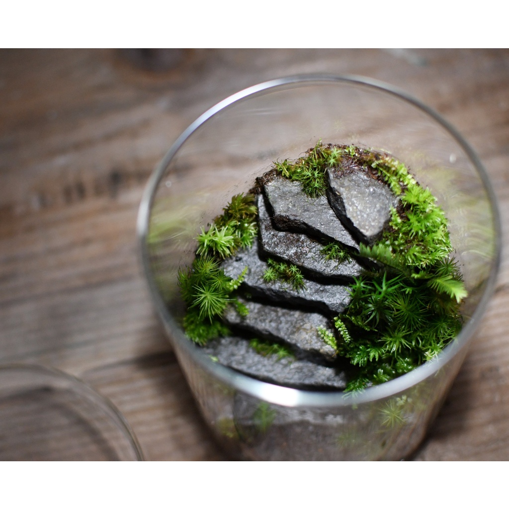 10 viên đá miếng làm terrarium, trang trí tiểu cảnh.