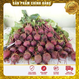 COMBO 5 gói hạt giống củ dền đỏ Baro F1 TẶNG 1 phân bón