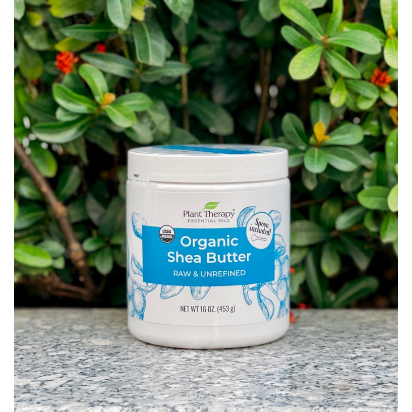Shea Butter - Bơ hạt mỡ hữu cơ Plant Therapy - 453g